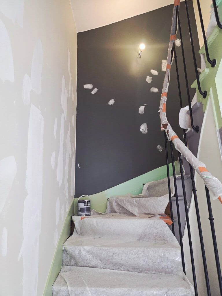 refection_perinture_commun_luissant_28_